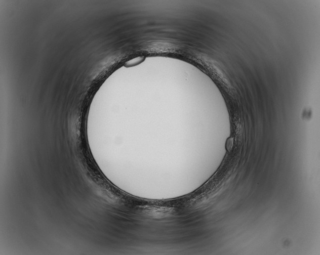 X0000101220539200807251114