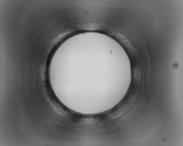 X0000101220540200807251114