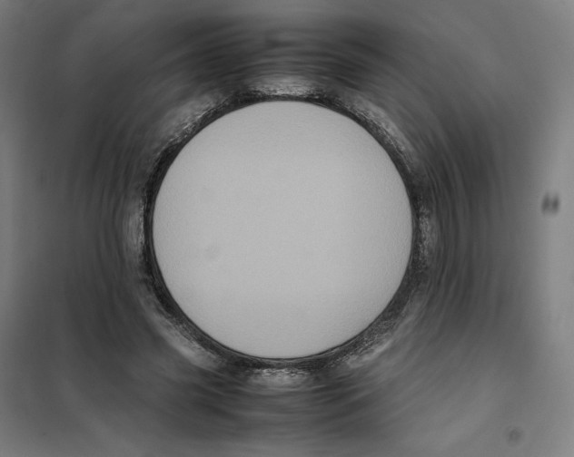 X0000101220541200807251114