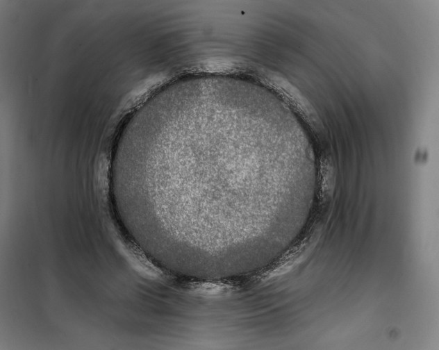 X0000101220542200807251114