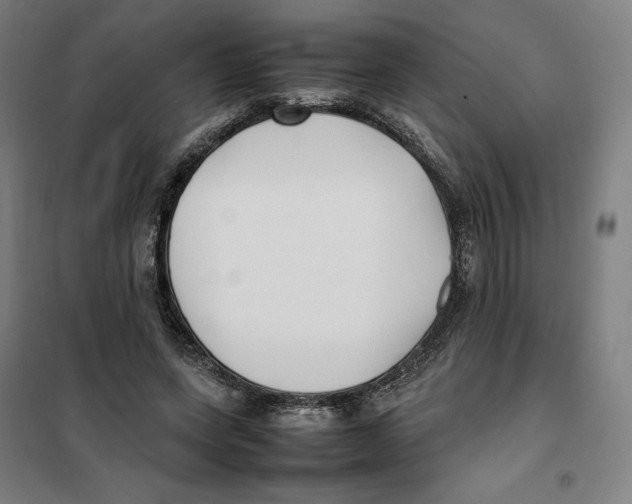 X0000101220543200807251114
