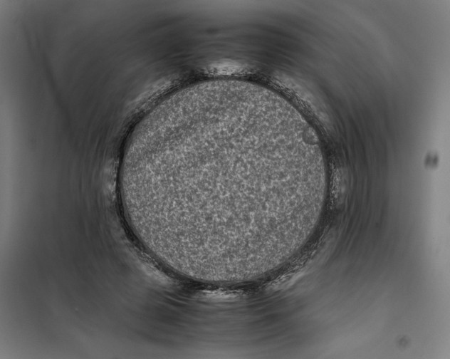 X0000101220545200807251114