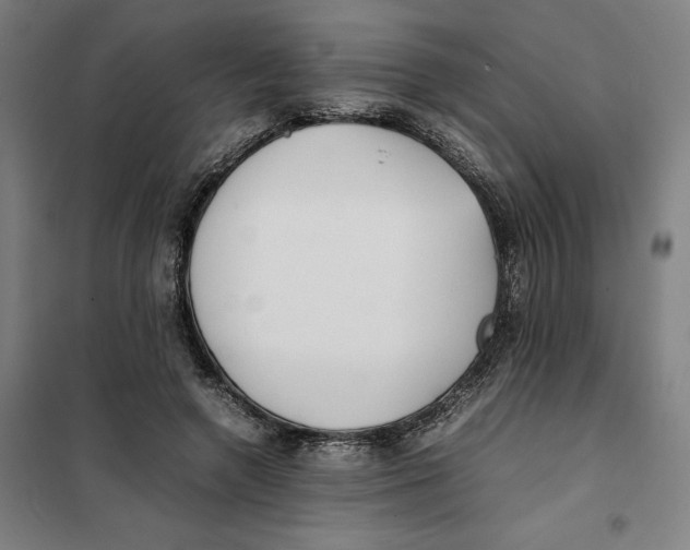 X0000101220546200807251114