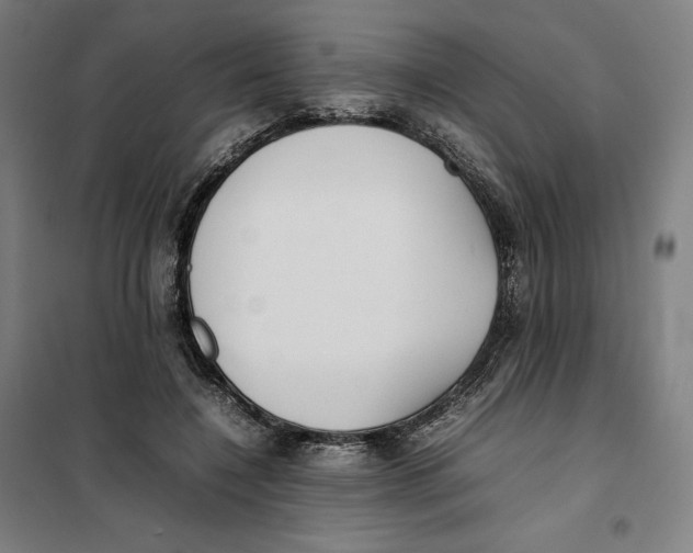 X0000101220548200807251114