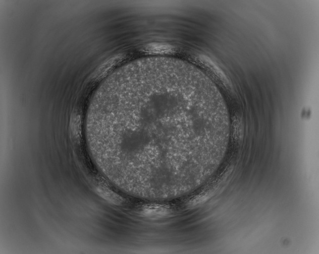 X0000101220549200807251114