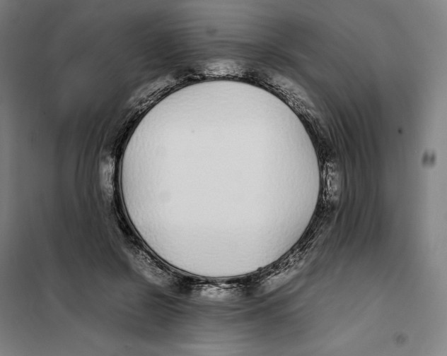 X0000101220550200807251114