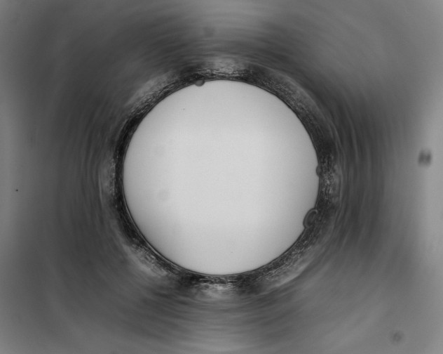 X0000101220552200807251114