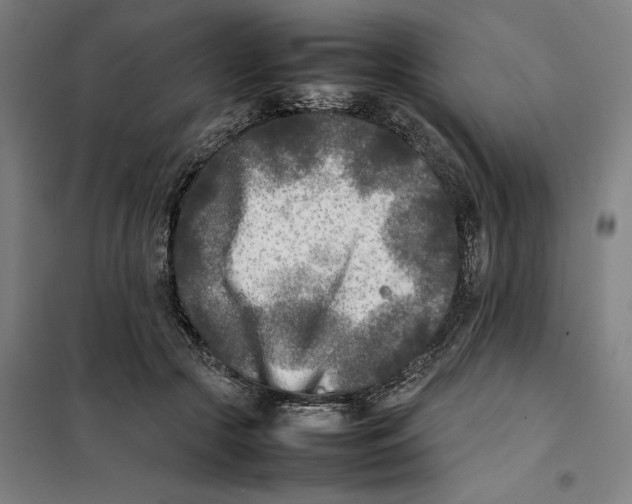 X0000101220553200807251114