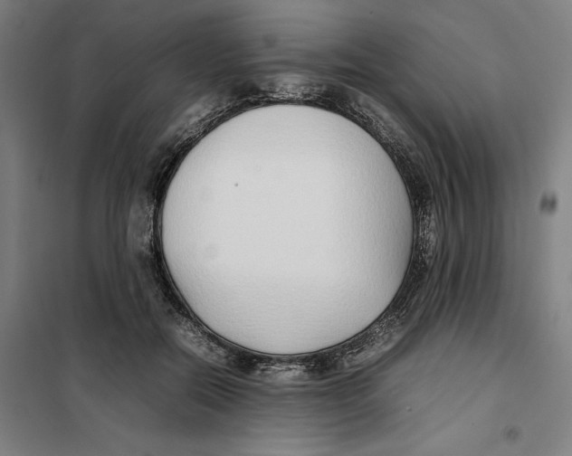 X0000101220554200807251114