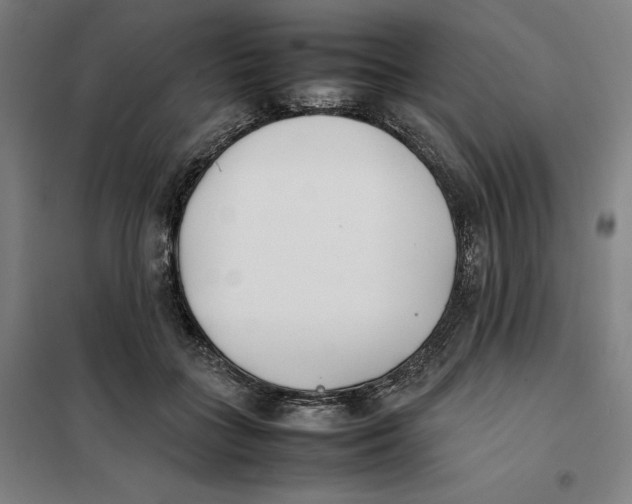 X0000101220555200807251114