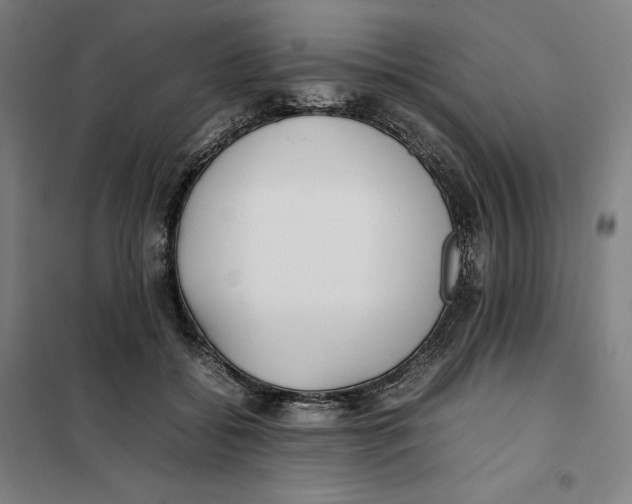 X0000101220556200807251114