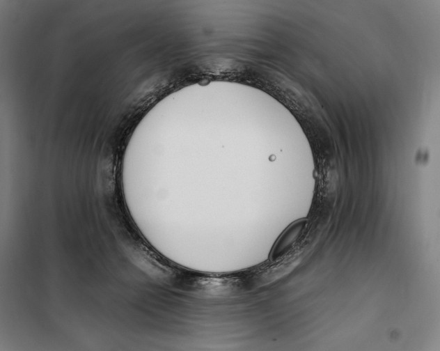 X0000101220558200807251114