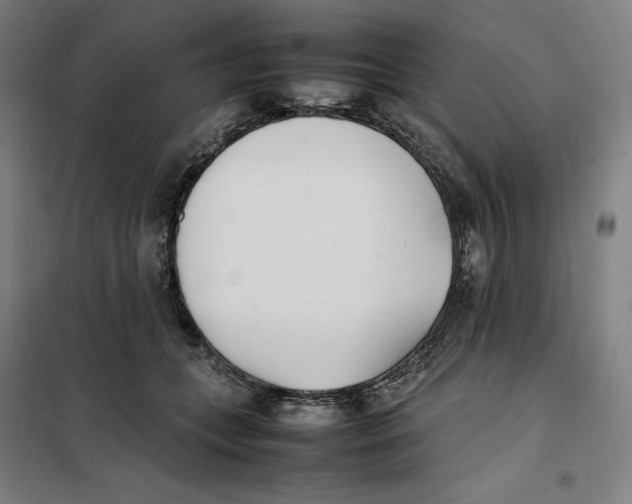X0000101220559200807251114