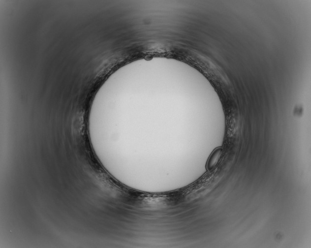 X0000101220560200807251114