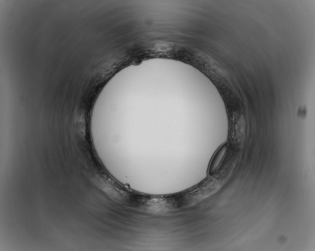 X0000101220562200807251114
