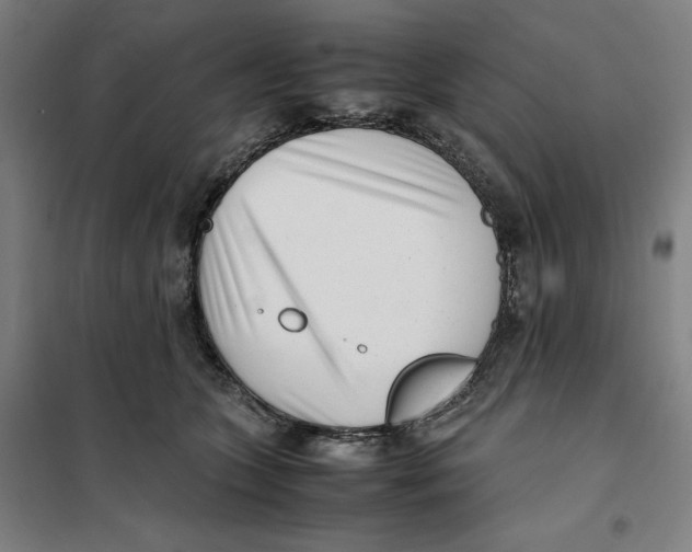 X0000101220563200807251114