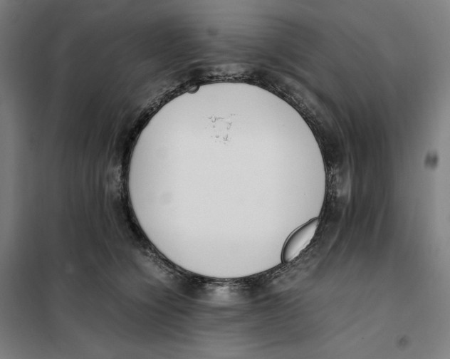 X0000101220564200807251114