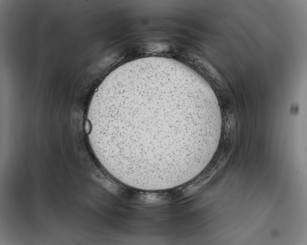 X0000101220565200807251114