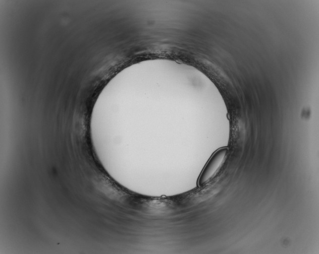 X0000101220566200807251114