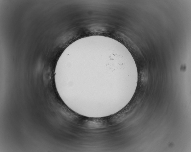 X0000101220567200807251114