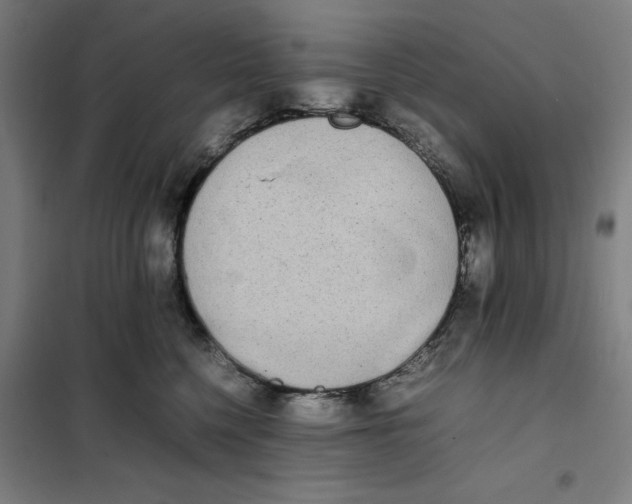 X0000101220568200807251114