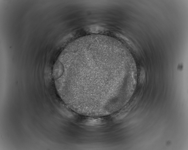 X0000101220569200807251114