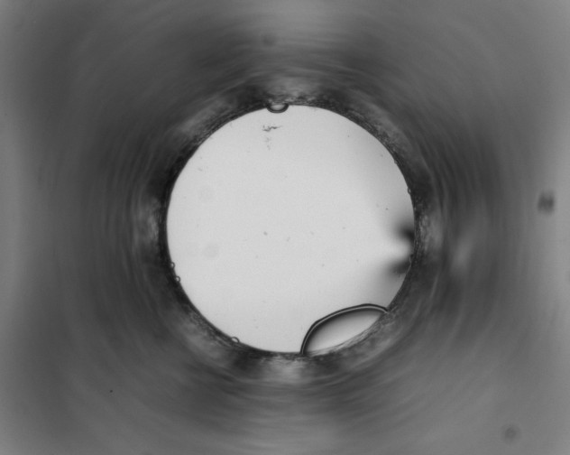 X0000101220570200807251114