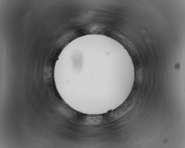 X0000101220571200807251114