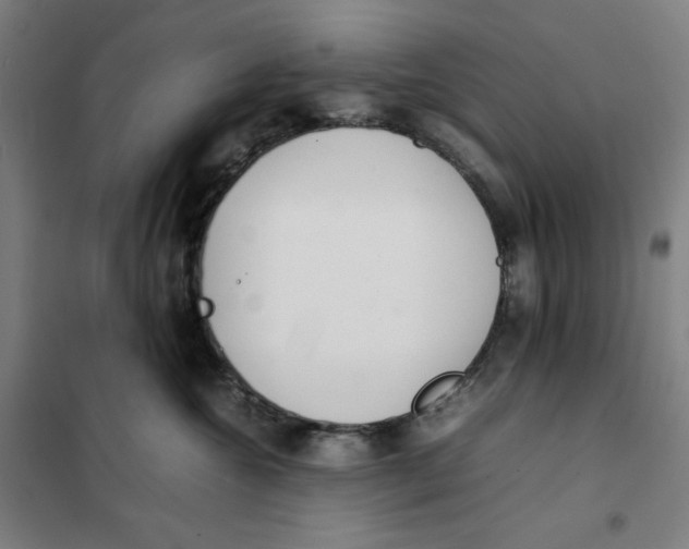 X0000101220572200807251114