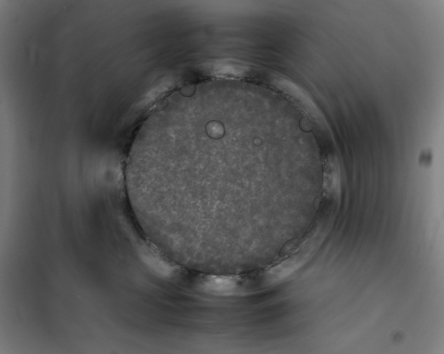 X0000101220573200807251114