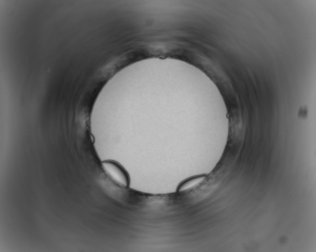X0000101220574200807251114