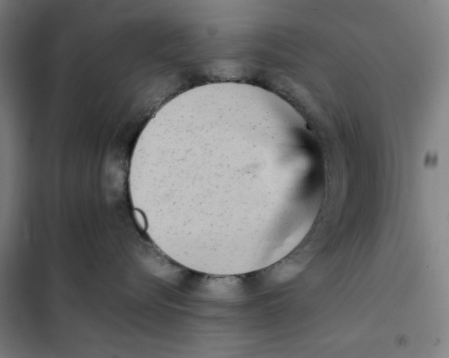 X0000101220576200807251114