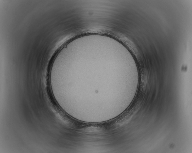 X0000101220578200807251113