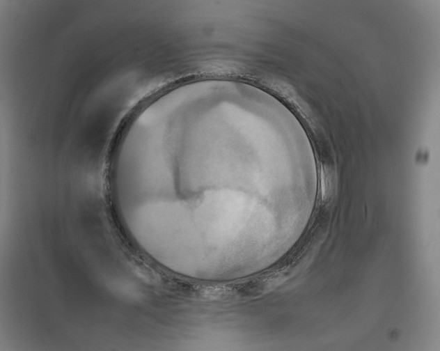 X0000101220579200807251113