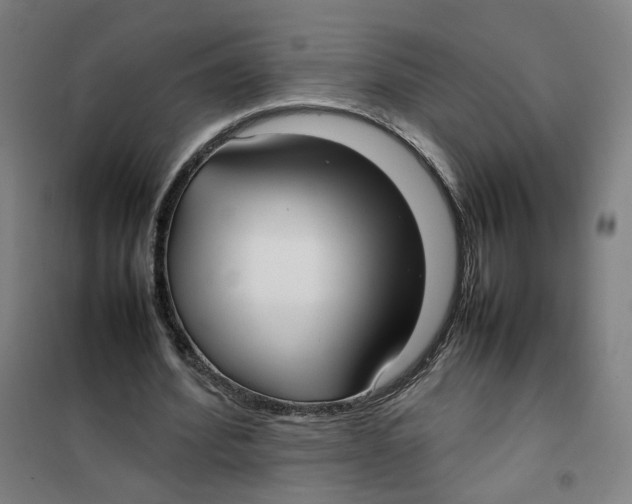 X0000101220580200807251113