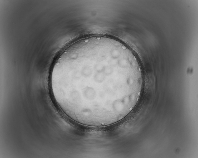 X0000101220581200807251113