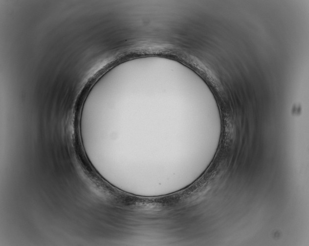 X0000101220582200807251113