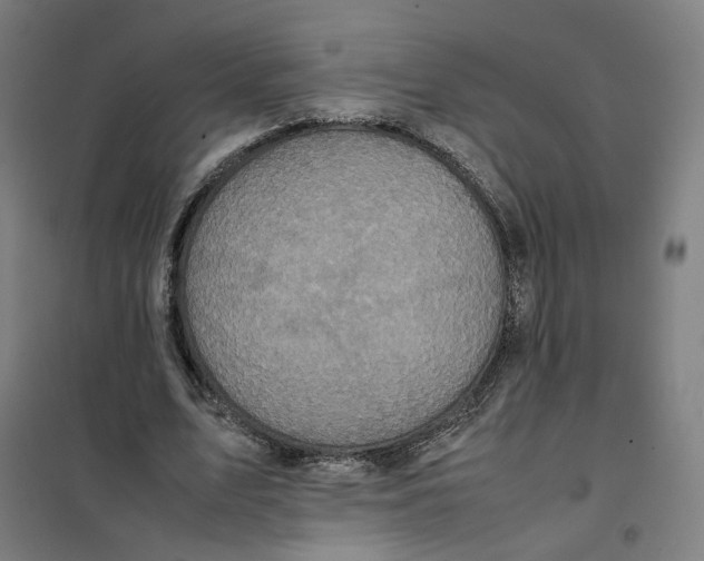 X0000101220583200807251113