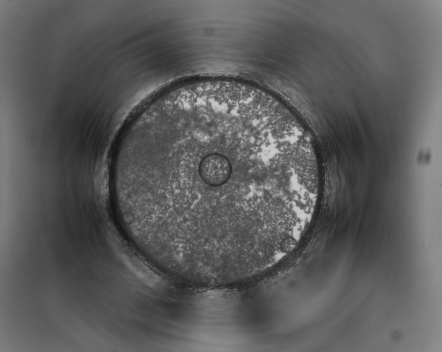 X0000101220584200807251113