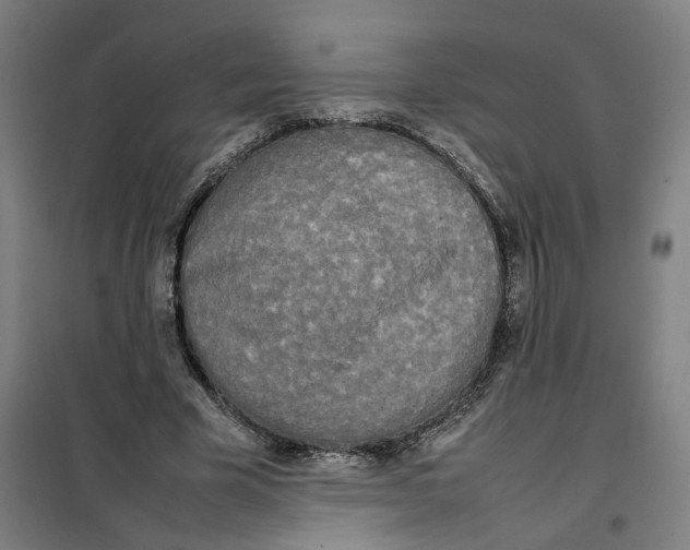 X0000101220585200807251113