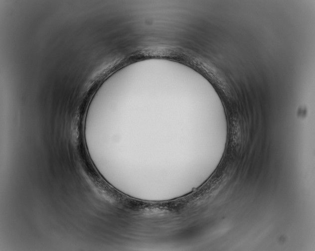 X0000101220586200807251113