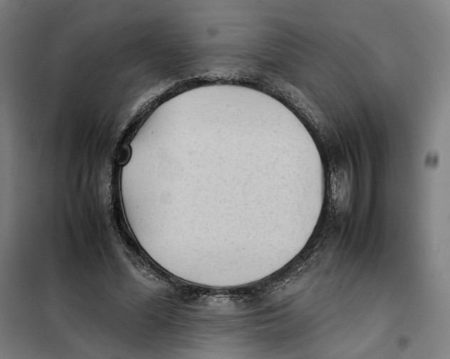 X0000101220588200807251113