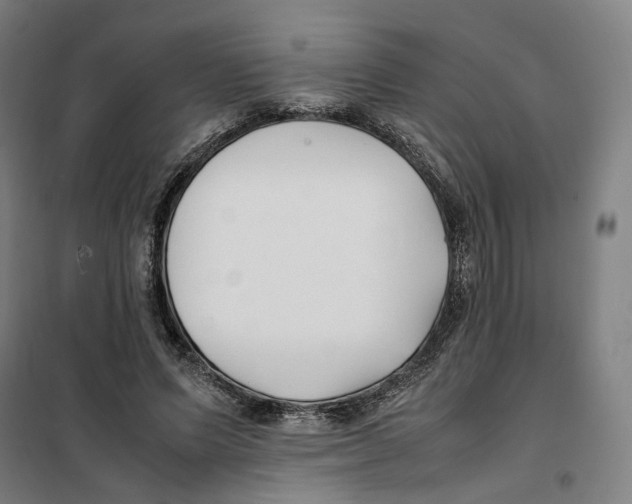 X0000101220591200807251113