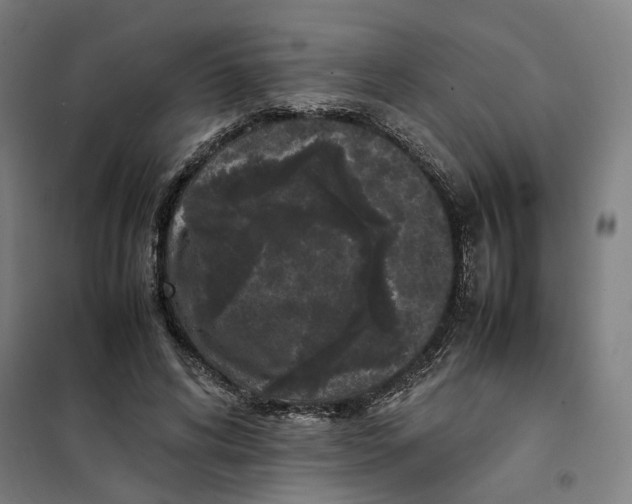X0000101220592200807251113