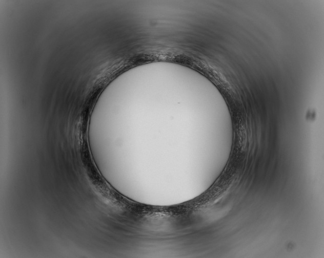 X0000101220594200807251113