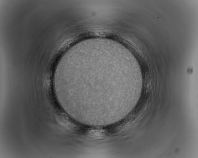 X0000101220595200807251113