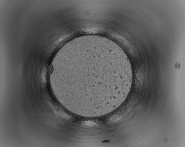 X0000101220596200807251113
