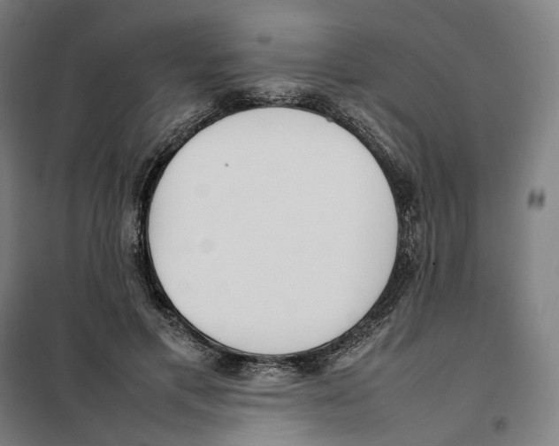 X0000101220597200807251113