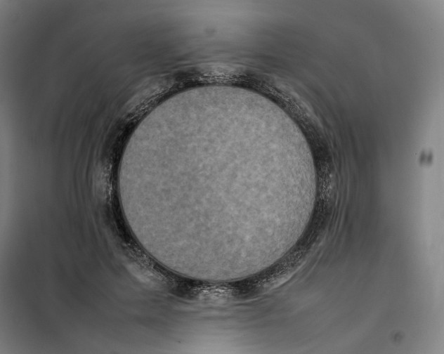 X0000101220599200807251113