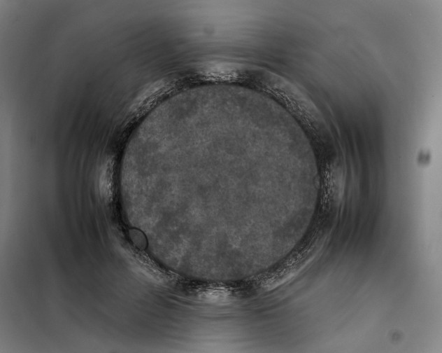 X0000101220600200807251113